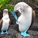 송화현대홈타운 이미지