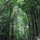 스프링데일 골프&리조트 이미지