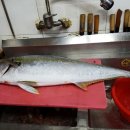 동창식당펜션 이미지