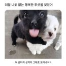 바다의 언덕 호스텔 | 지치고 병든 나(그네)를 위한 1박2일 힐링 묵호여행 🌊
