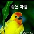 3월26일 뉴스브리핑 이미지