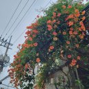 2025.06.26. 누나들과 엄마 면회 이미지