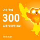 (주)마스코 | 영어공부 작심삼일 탈출! 듀오링고 300일 사용 후기