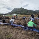 금산군청 뉴스세상