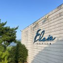 엘시아 애견풀빌라 | 남해 엘시아애견풀빌라 강아지와 함께한 여름휴가 펜션 기록