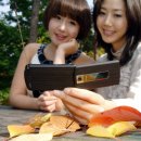 샤인우드 이미지