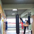 합기도 성무관 이미지