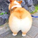 파워온PT 이미지