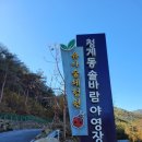 청계동솔바람야영장