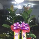 테크노 무인텔 이미지