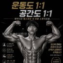 팀메이트 P.T STUDIO | 팀메이트 프라이빗1인 P.T샵 혼자 운동하기 완벽한 공간, 왜 선택했을까?
