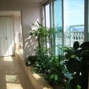 늘푸른정원 이미지