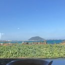(유)풍차주유소 | [혼자 제주] 3박 4일 혼자 제주 여행기 2일차