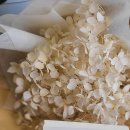 제왕공인중개사사무소 이미지