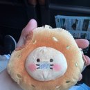 해동카셀프 | [부산] 들어는 봤니 춘식 투어...