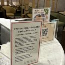 고 인터네셔널(Go International) | 일본 후쿠오카공항 국제선 타임 인터내셔널 라운지 이용방법