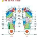 뇌출혈인경우 응급조치 엄지발가락자극 이미지