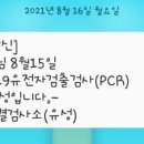 강호 해솔 태권도 이미지
