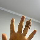 화훼장식 기능사(꽃꽂이) | 화훼장식기능사, 부채형 꽃꽂이/삼각형 꽃꽂이수업 후기