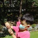 리라어린이집 이미지