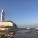 카사블랑카 네이버블로그