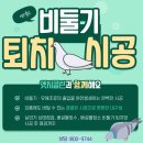 신성미소지움아파트 비둘기퇴치망 시공+청소 비둘기퇴치 공구이벤트까지 이미지