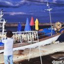 돌고래횟집 이미지