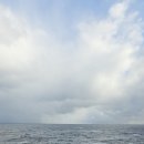 제일편안한약국 이미지