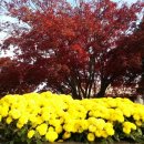 덕곡면사무소 이미지