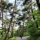 청량학동길 이미지