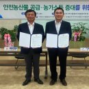 농협양곡(주)무안통합미곡종합처리장 이미지