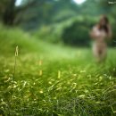 풀잎향기 이미지