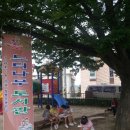 느티나무도서관 이미지