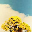 (주)한국지엠대흥지정서비스 | 한국지엠 직영서울서비스센터/쉐보레양평동서비스센터 이용후기 11월 2일 수요일