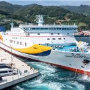 썬플라워 이미지