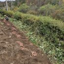 시나몬펜션 이미지