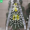 그랜드부민