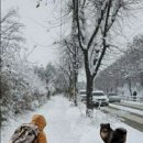 겨울나그네 이미지