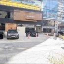 성산풍천장어