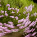 정정숙농장 이미지