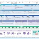 서해꽃게 이미지