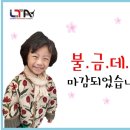 강성장태권도 이미지