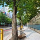 현산초등학교 이미지