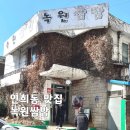 푸짐한쌈밥한식 | 연희동 가볼만한곳 연희동 맛집 | 푸짐한 한식 한상 연희동 녹원쌈밥 제육볶음, 오징어볶음, 보쌈정식 후기