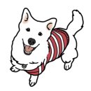 펫앤바이오 이미지