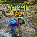 음악펜션"뮤펜"민박 | 춘천 삼팔선의 봄, 계곡 옆 숙소에서 힐링한 1박 2일 후기