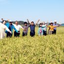 지내들영농조합법인 이미지