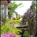 꽃님이네 이미지