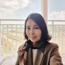 다모아탑공인중개사사무소 이미지