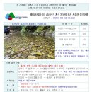 제1029차(26-31) 심산유곡 계곡 물놀이 포천 지장산 정기산행(2026.08.01) 이미지